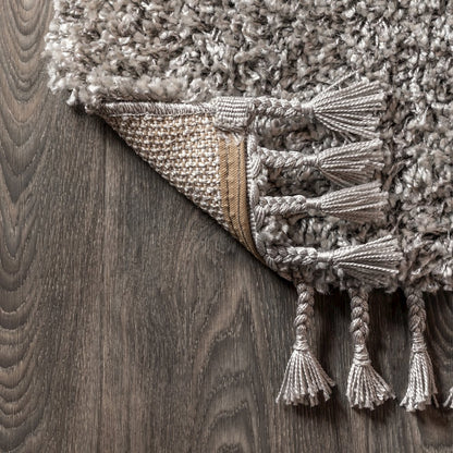 Mercer Shag Plush Tassel Area Rug