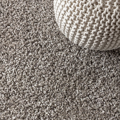 Mercer Shag Plush Tassel Area Rug