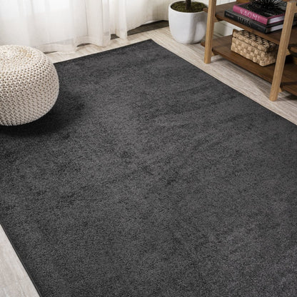 Haze Solid Low Pile Area Rug Black