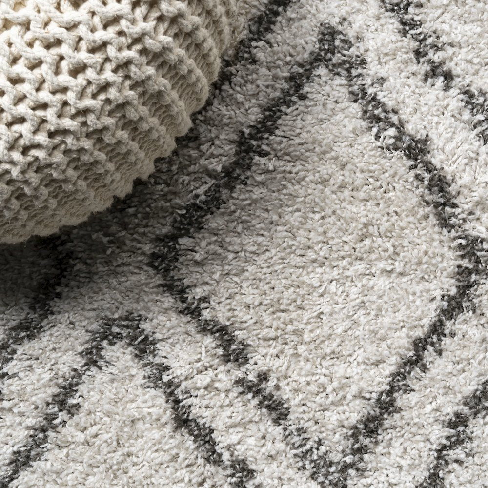 Soller Diamond Trellis Shag Area Rug
