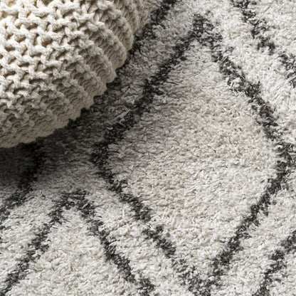Soller Diamond Trellis Shag Area Rug