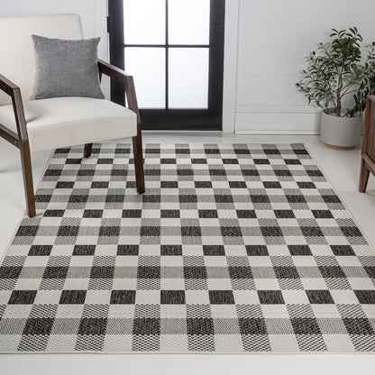 Darcy Traditional Geometric Bold Gingham Indoor/Outdoor Area Rug