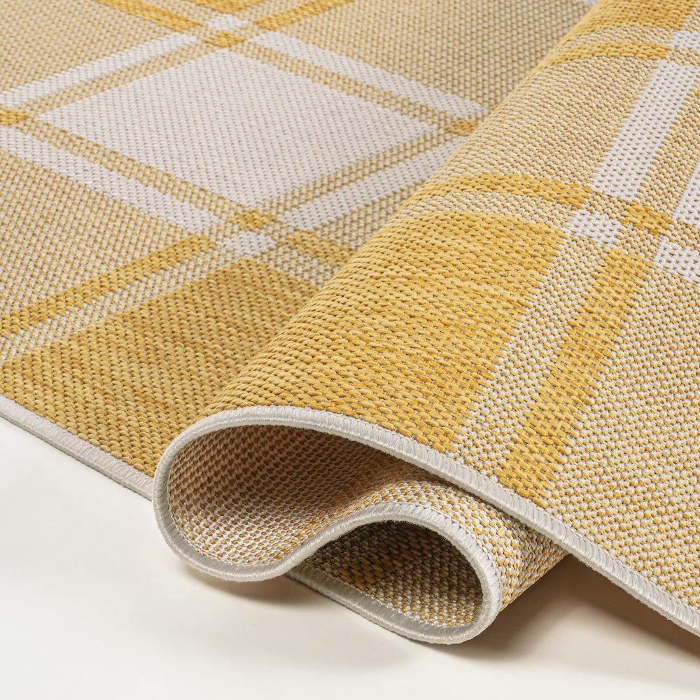 Sabine Traditional Farmhouse Bold Gingham Indoor/Outdoor Area Rug