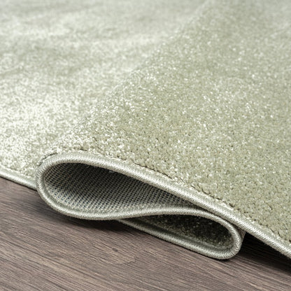 Haze Solid Low-Pile Area Rug