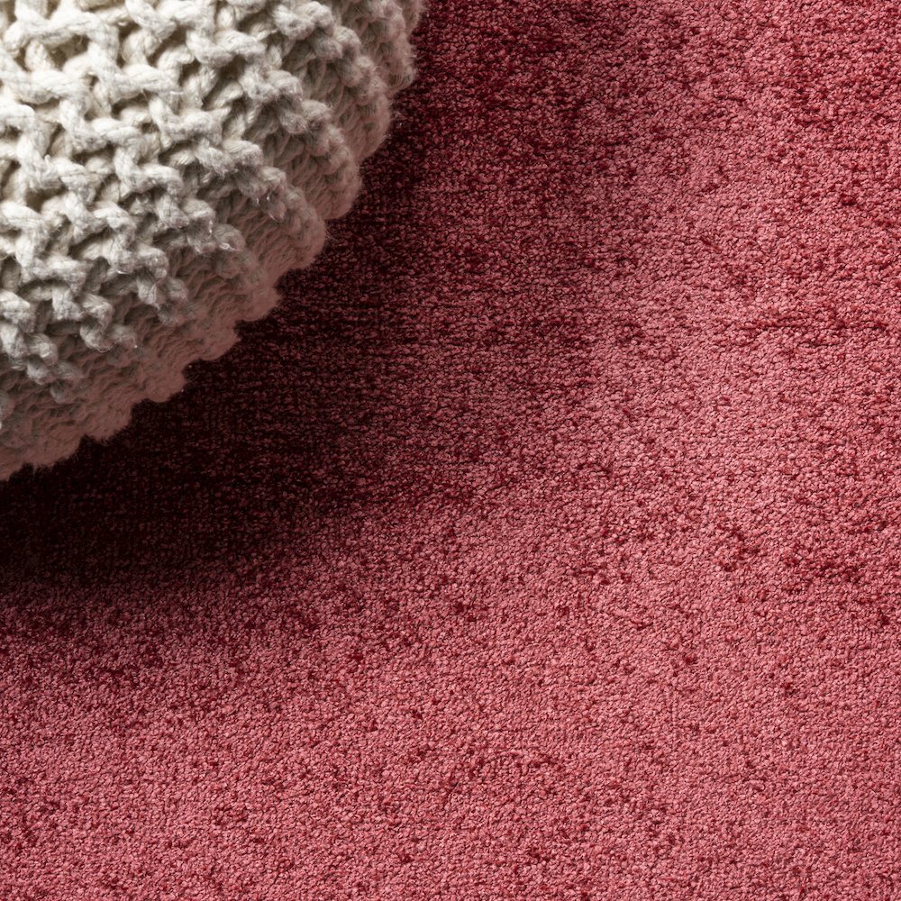 Haze Solid Low-Pile Area Rug