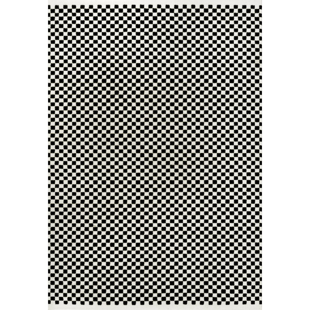 Finn High-Low Modern Minimalist Checkered Monotone Black/White Area Rug