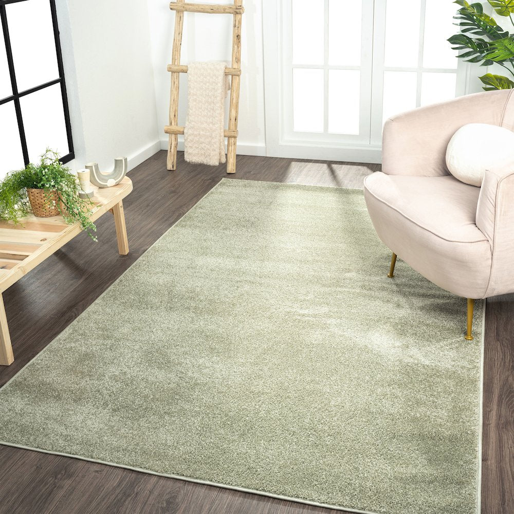 Haze Solid Low-Pile Area Rug