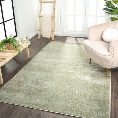 Haze Solid Low-Pile Area Rug