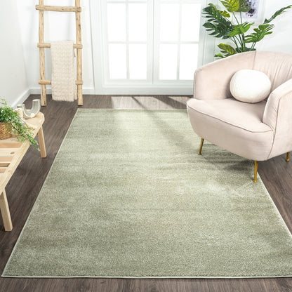 Haze Solid Low-Pile Area Rug