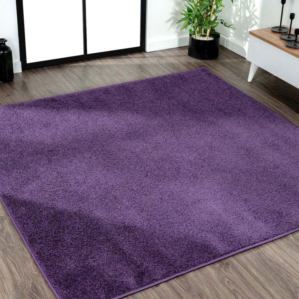 Haze Solid Low-Pile Area Rug