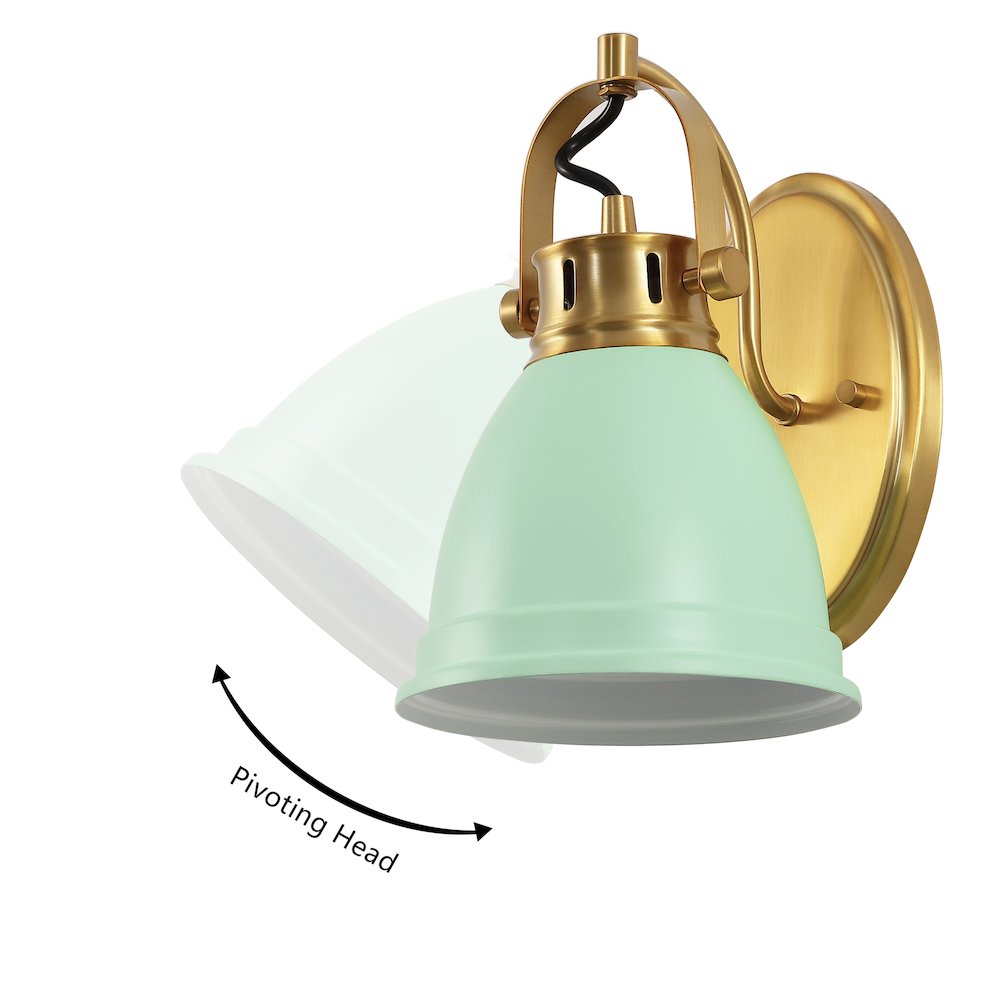 Phineas 1-Light Adjustable Farmhouse Bohemian Iron LED Vanity Light