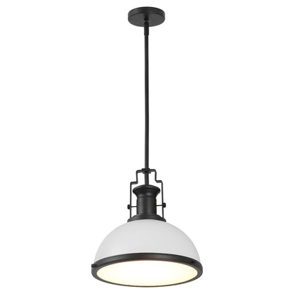 Homer 13" 1-Light Modern Industrial Iron LED Dome Pendant, White/Matte Black