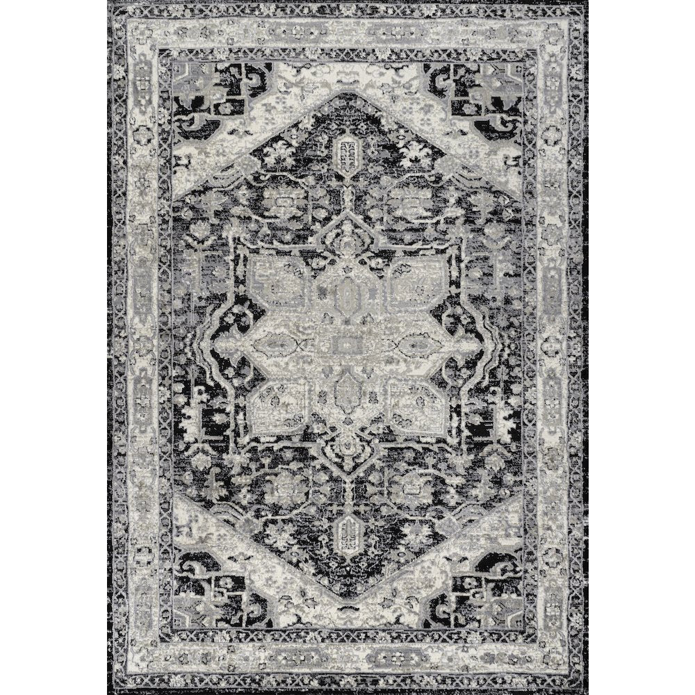 Modern Persian Vintage Medallion Black/Ivory Area
