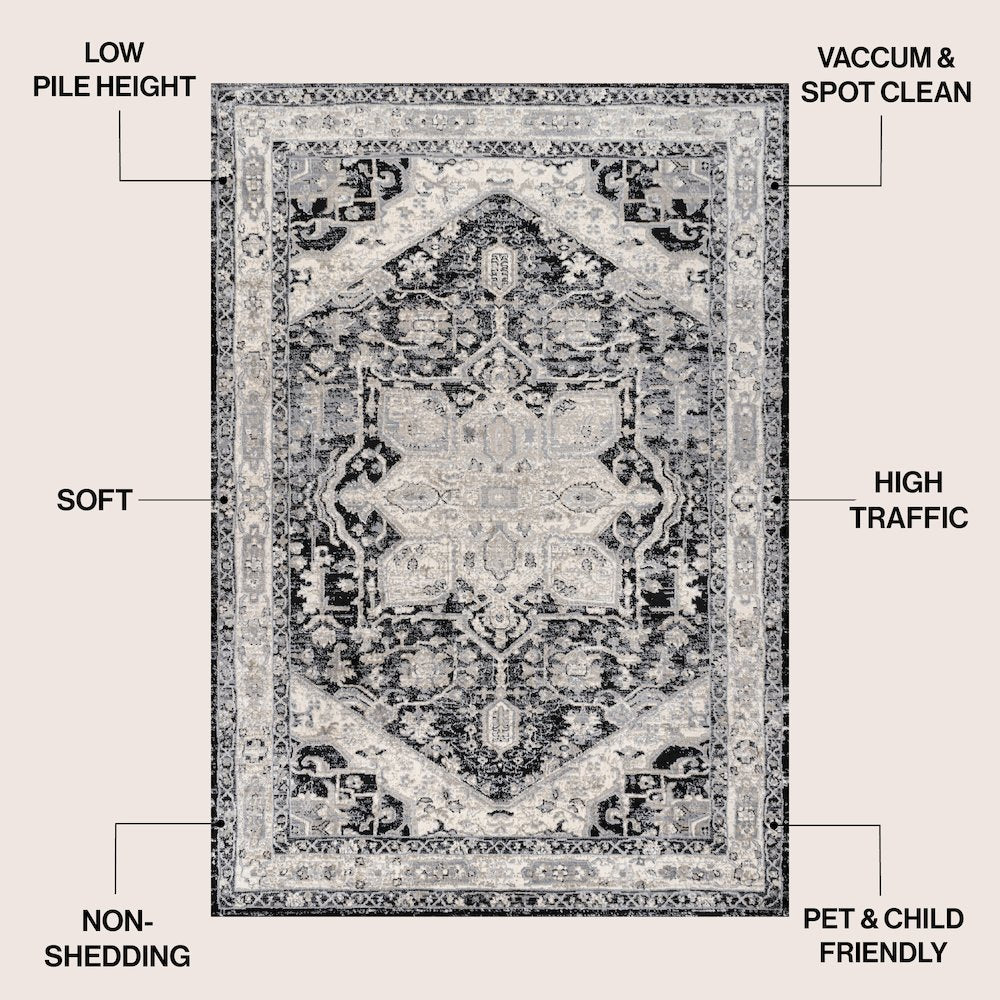 Modern Persian Vintage Medallion Black/Ivory Area