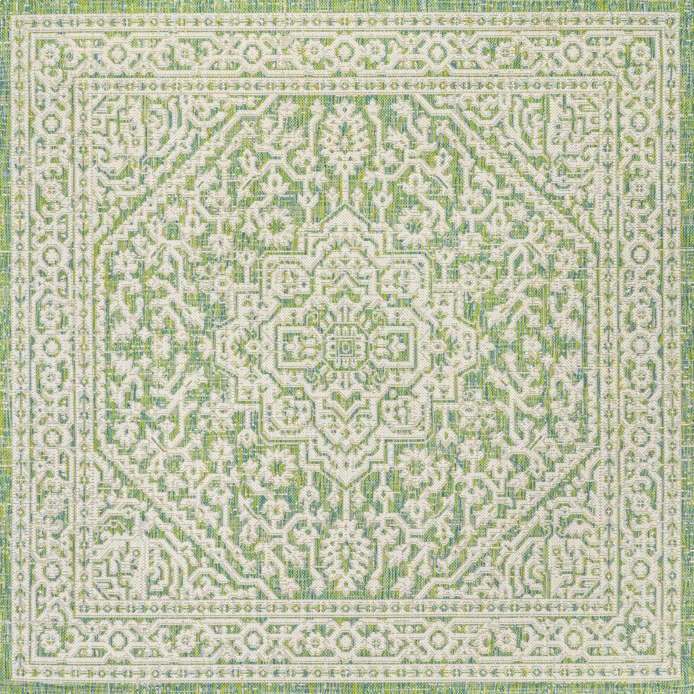 Sinjuri Medallion Textured Weave Indoor/Outdoor Area Rug