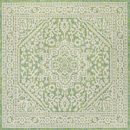 Sinjuri Medallion Textured Weave Indoor/Outdoor Area Rug