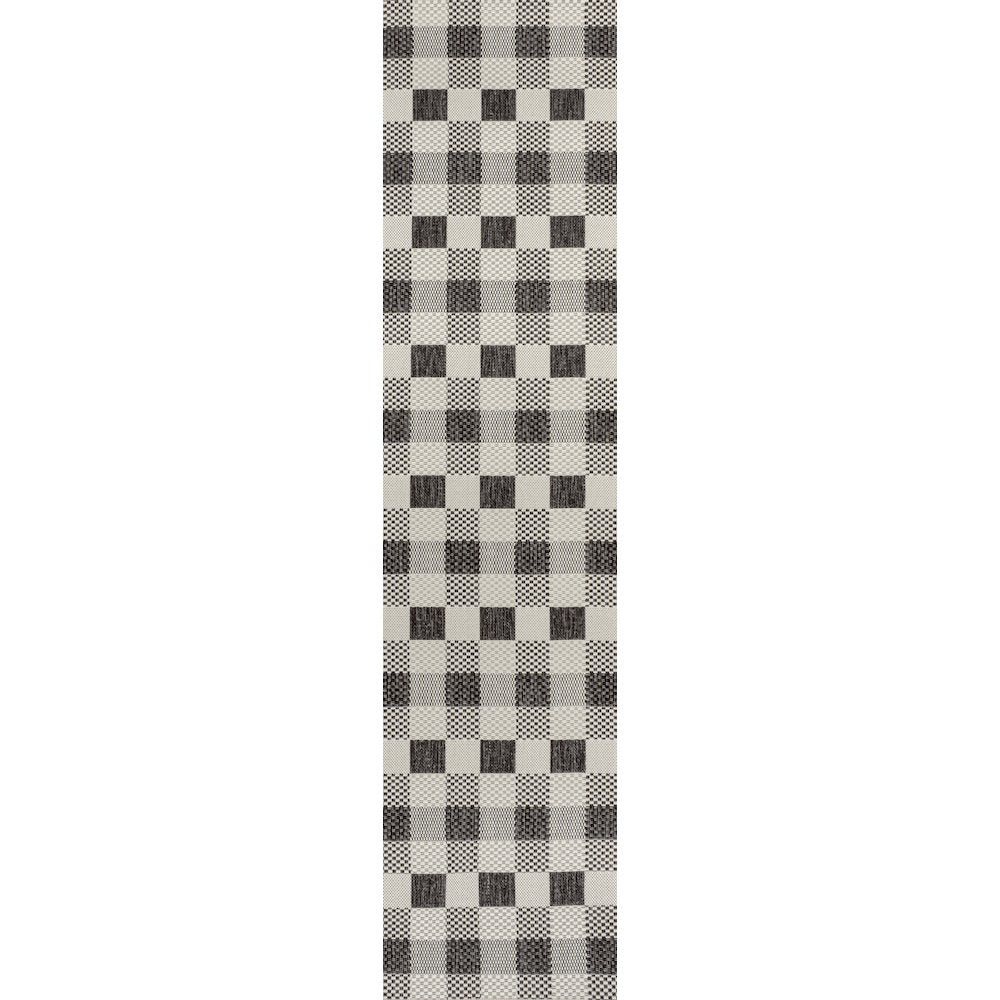 Darcy Traditional Geometric Bold Gingham Indoor/Outdoor Area Rug