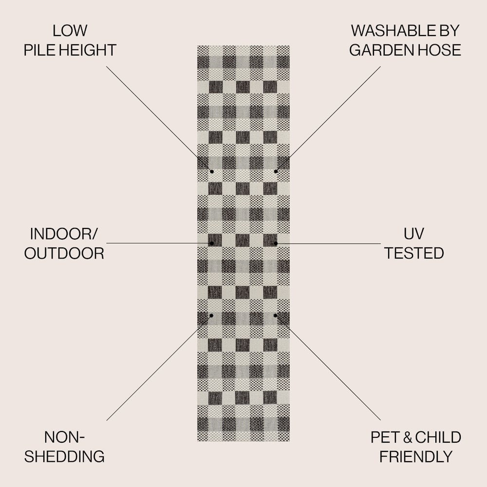 Darcy Traditional Geometric Bold Gingham Indoor/Outdoor Area Rug