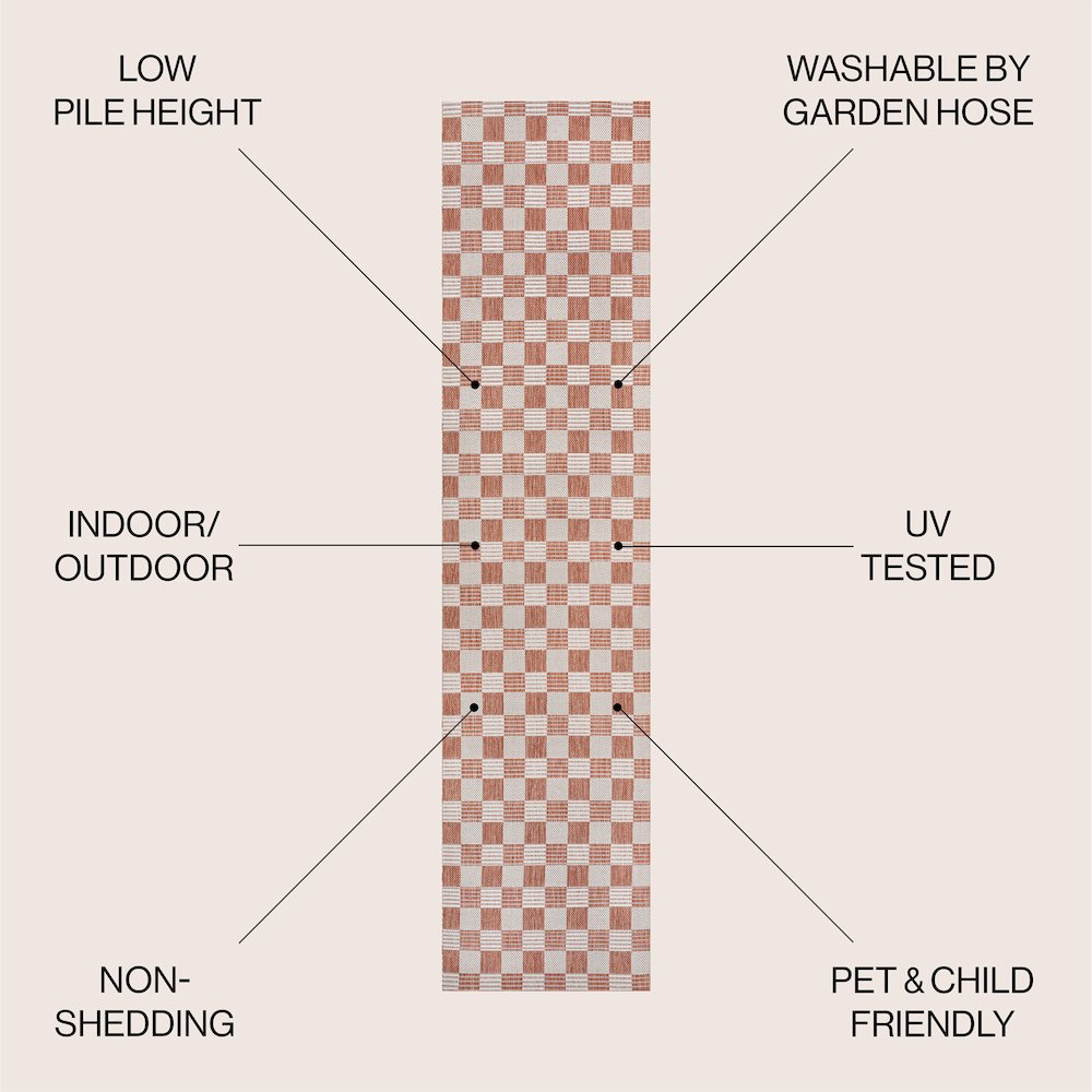 Aimee Traditional Cottage Checkerboard Indoor/Outdoor Area Rug