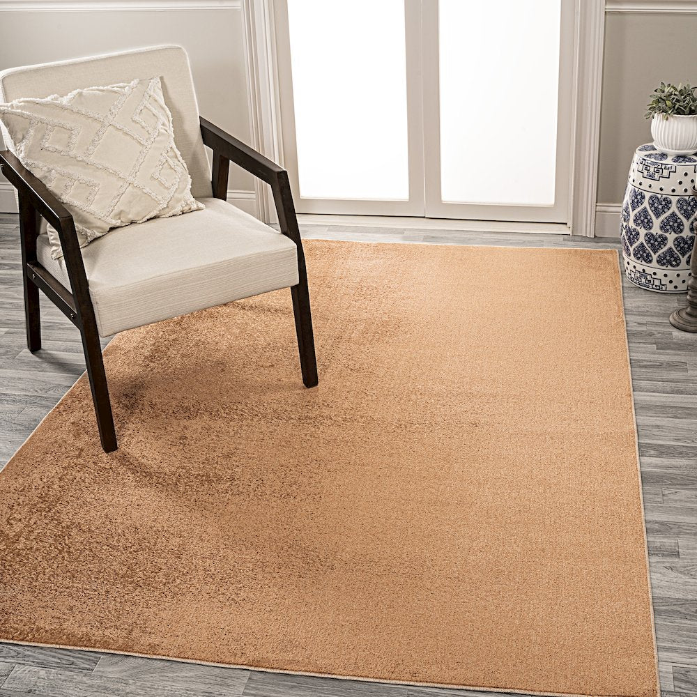 Twyla Classic Solid Low-Pile Machine-Washable Area Rug