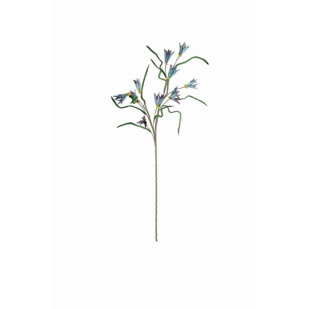 Botanica #3384