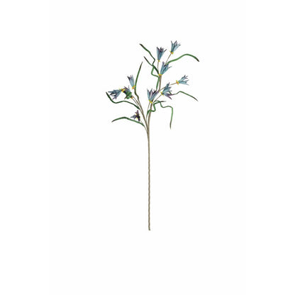 Botanica #3384