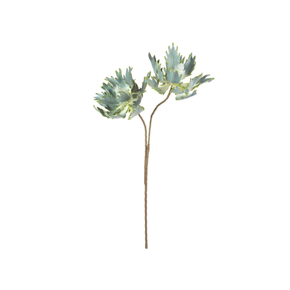 Botanica #2541