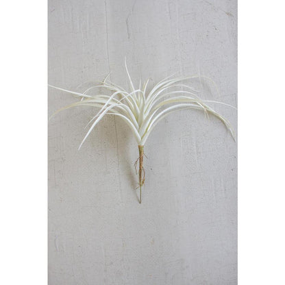 White Air Plant Large