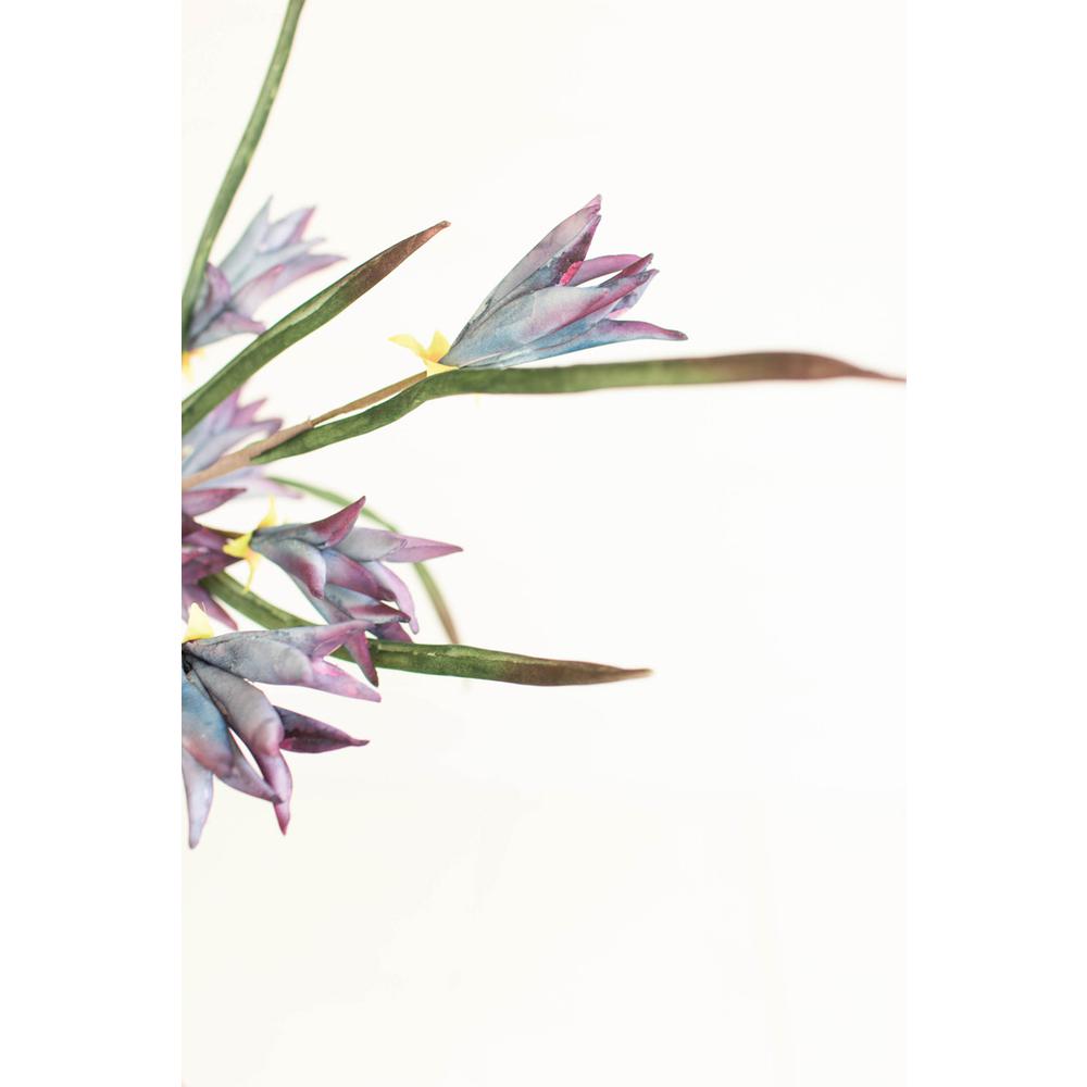 Botanica #3384