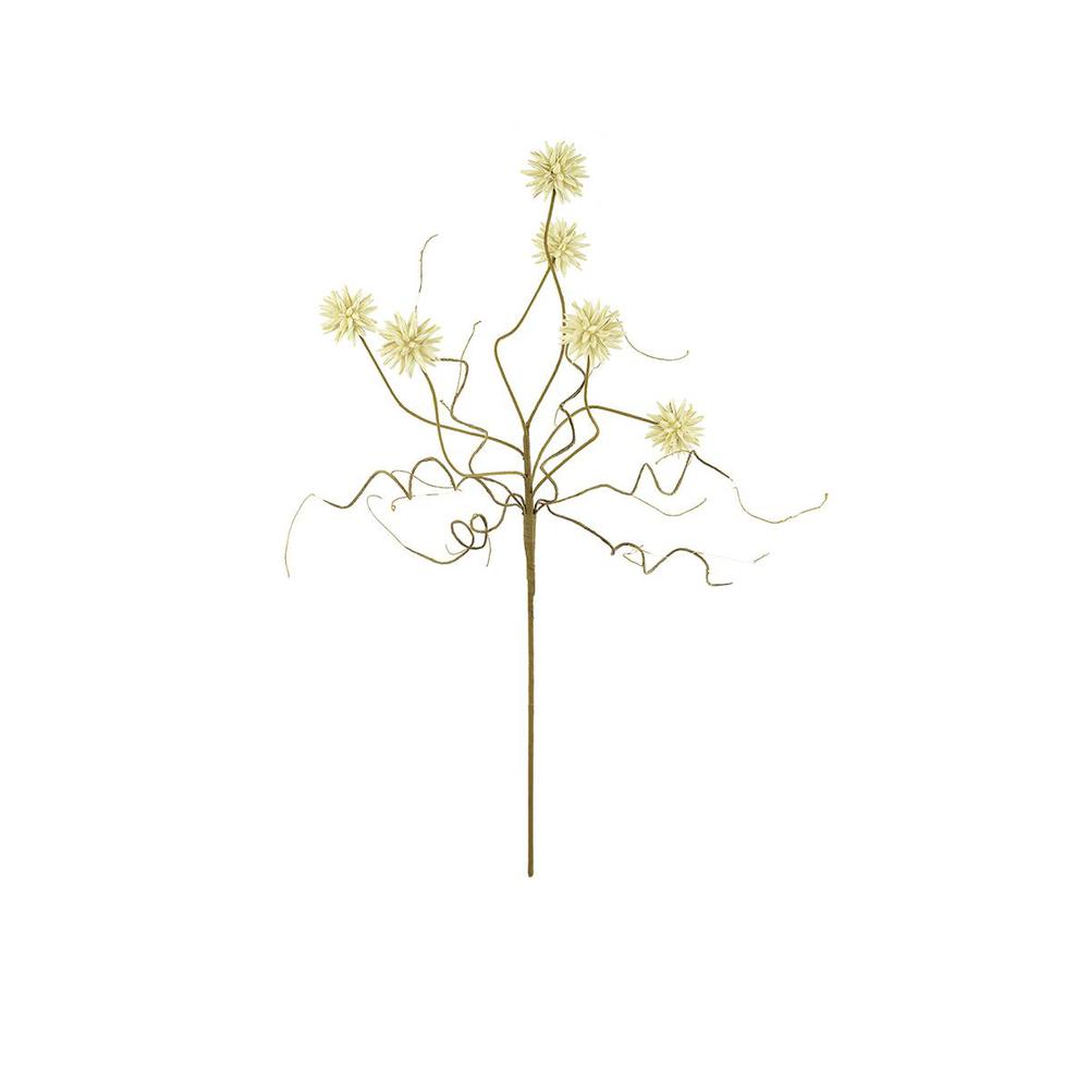 Botanica #2443