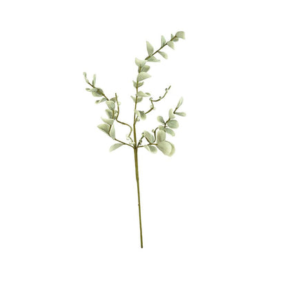 Botanica #2496