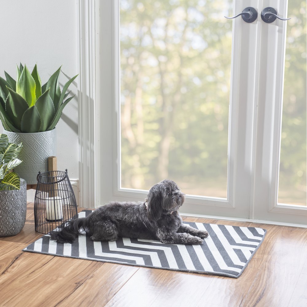 Outdoor Washable Myers Ivory & Black 2' X 3', Rug