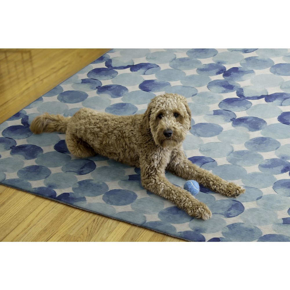 Outdoor Washable Lakeland Blue & Ivory 7' X 9', Rug