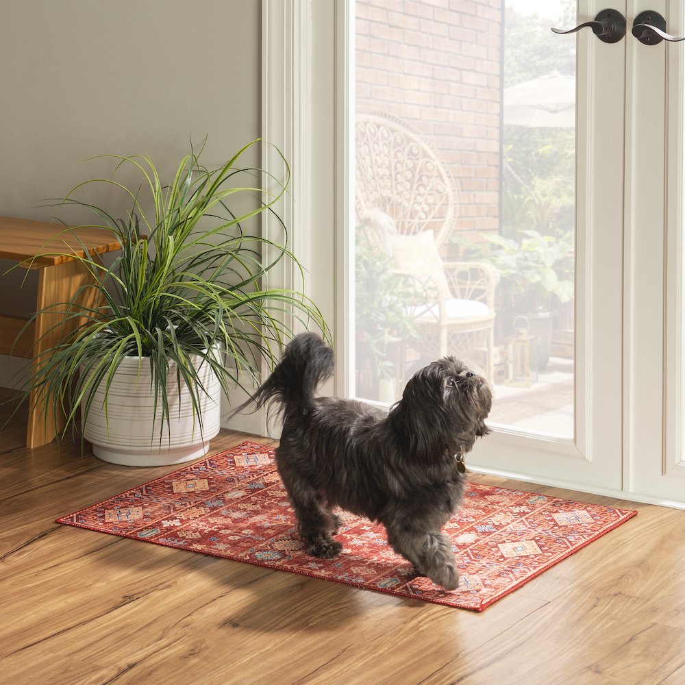 Washable Devlin Red/Ivory 2x3, Rug
