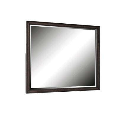 Kids Beveled Dresser Mirror in Espresso Brown