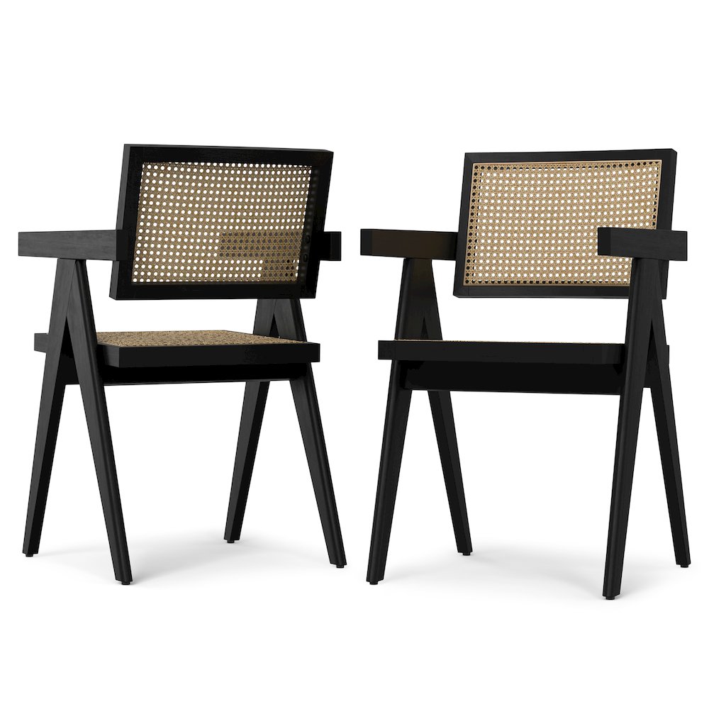 Regina Dining Arm Chair (Set of 2) in Black