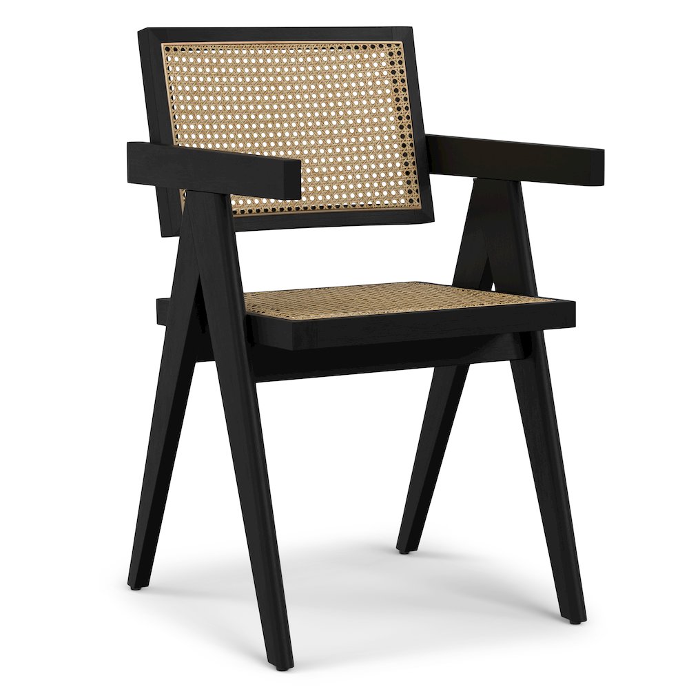 Regina Dining Arm Chair (Set of 2) in Black