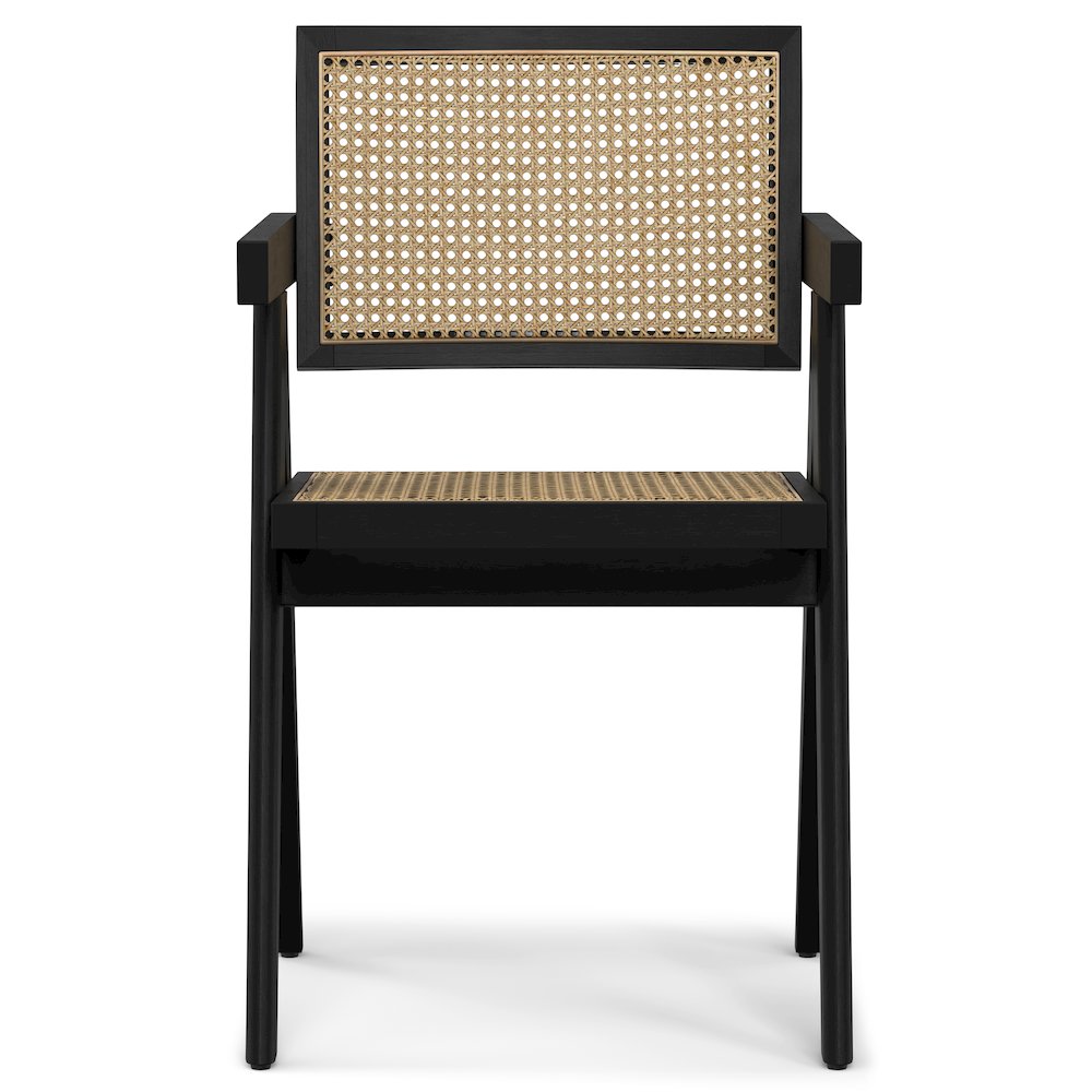 Regina Dining Arm Chair (Set of 2) in Black