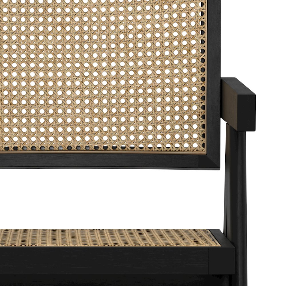 Regina Dining Arm Chair (Set of 2) in Black