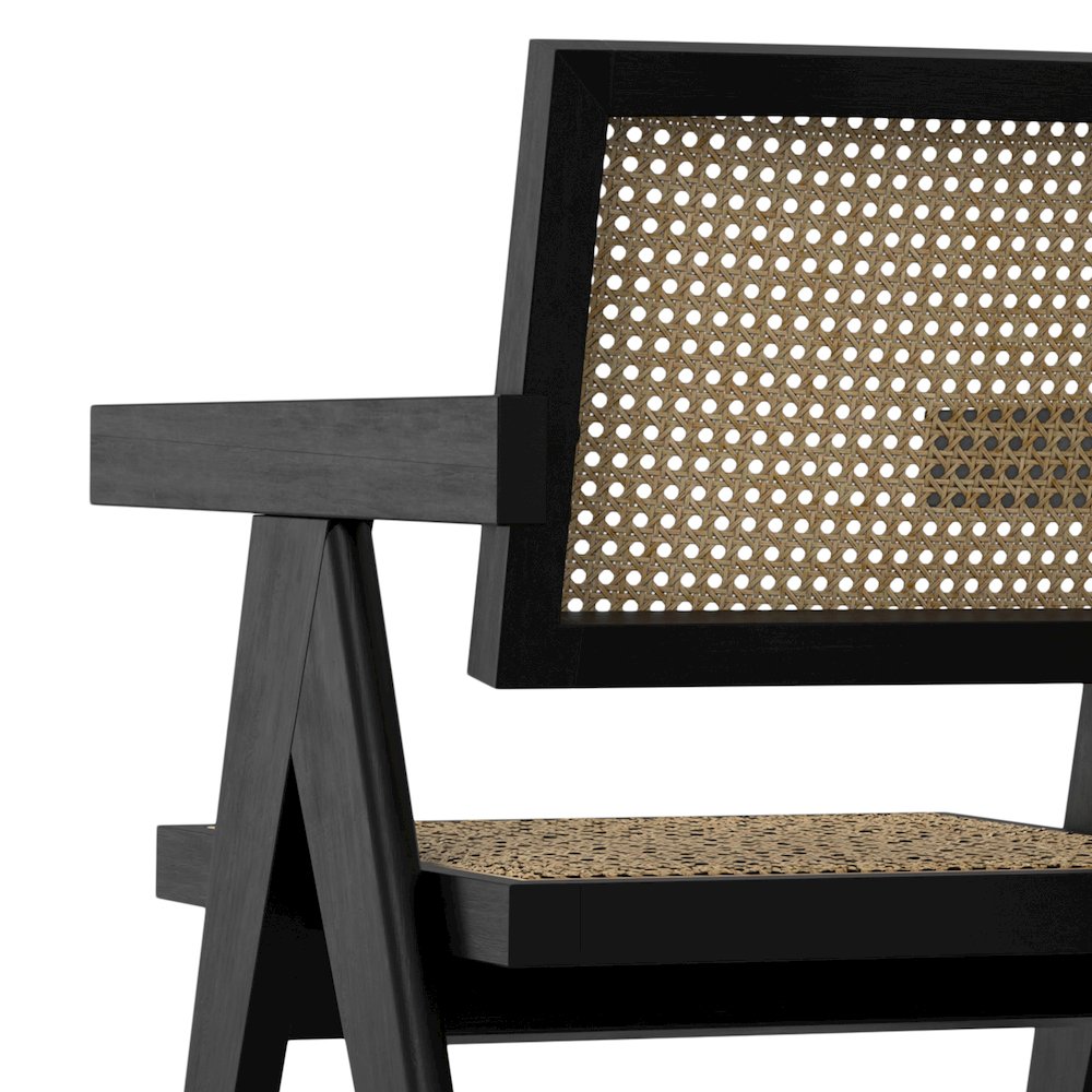 Regina Dining Arm Chair (Set of 2) in Black