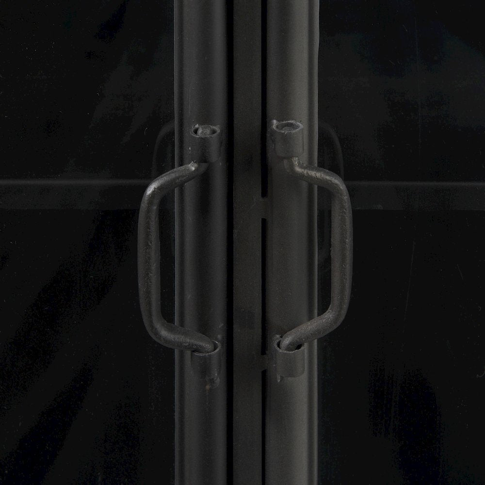 Poppy III 40L x 16W Black Metal With Glass Door Accent Cabinet