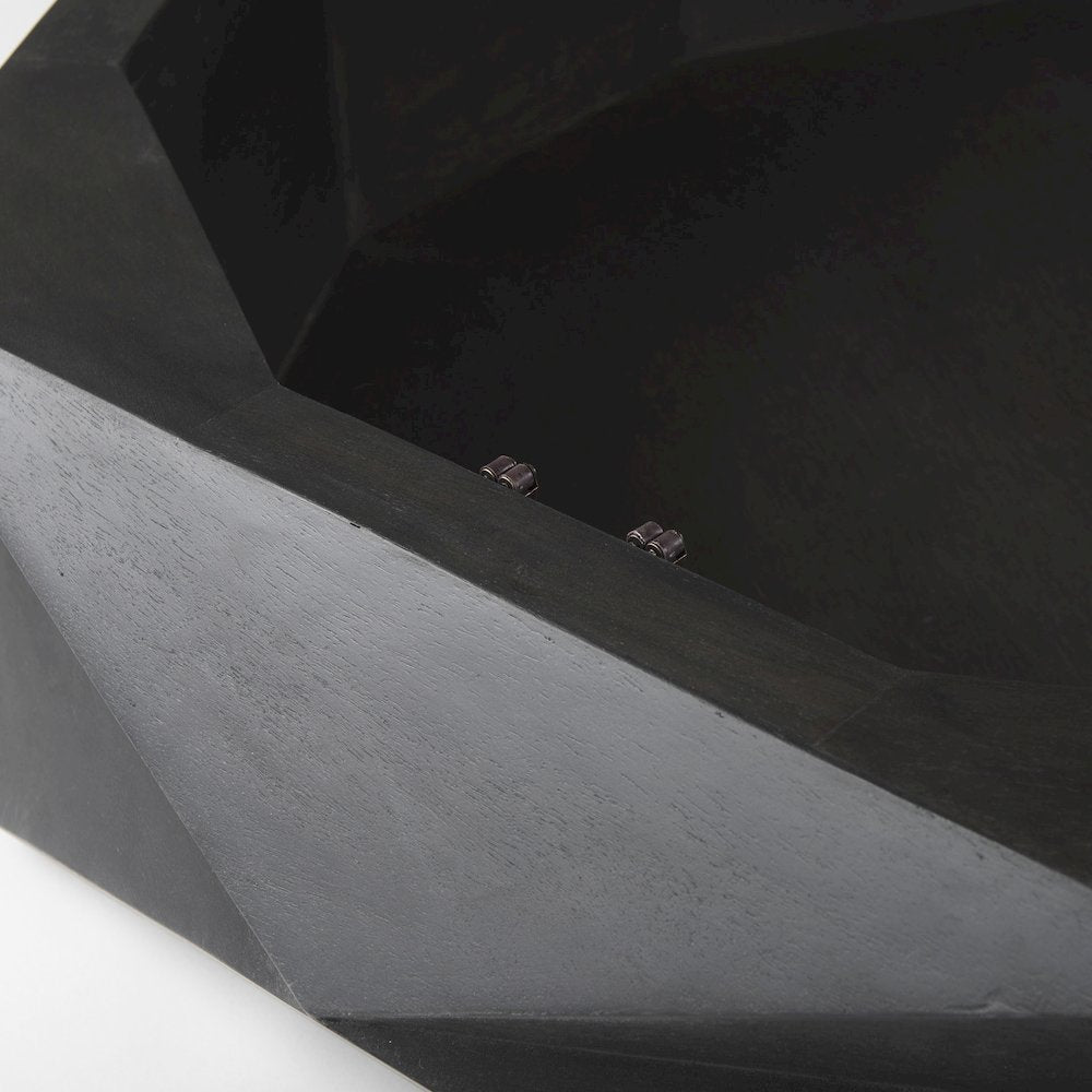 Black Solid Wood Hexagonal Storage Coffee Table