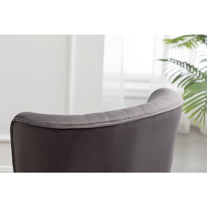 Elon Contemporary Velvet Upholstered Accent Chair, Gray