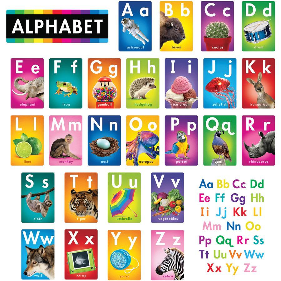 Trend ABC Photo Fun Learning Set - Learning Theme/Subject - Durable, Reusable, Sturdy - Multi - 1 Each