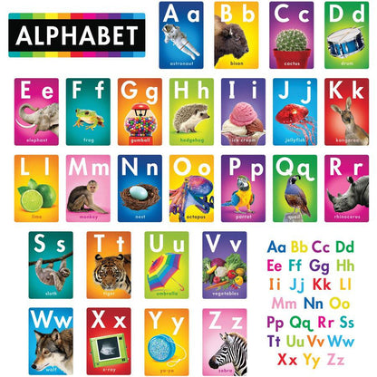 Trend ABC Photo Fun Learning Set - Learning Theme/Subject - Durable, Reusable, Sturdy - Multi - 1 Each