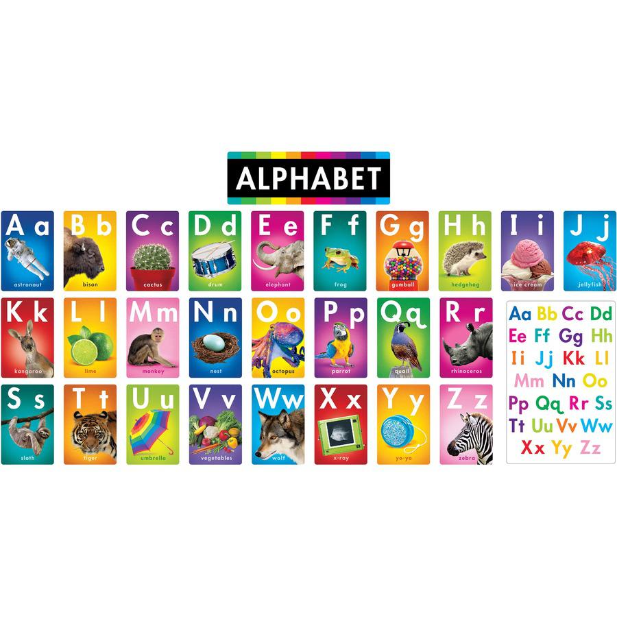 Trend ABC Photo Fun Learning Set - Learning Theme/Subject - Durable, Reusable, Sturdy - Multi - 1 Each