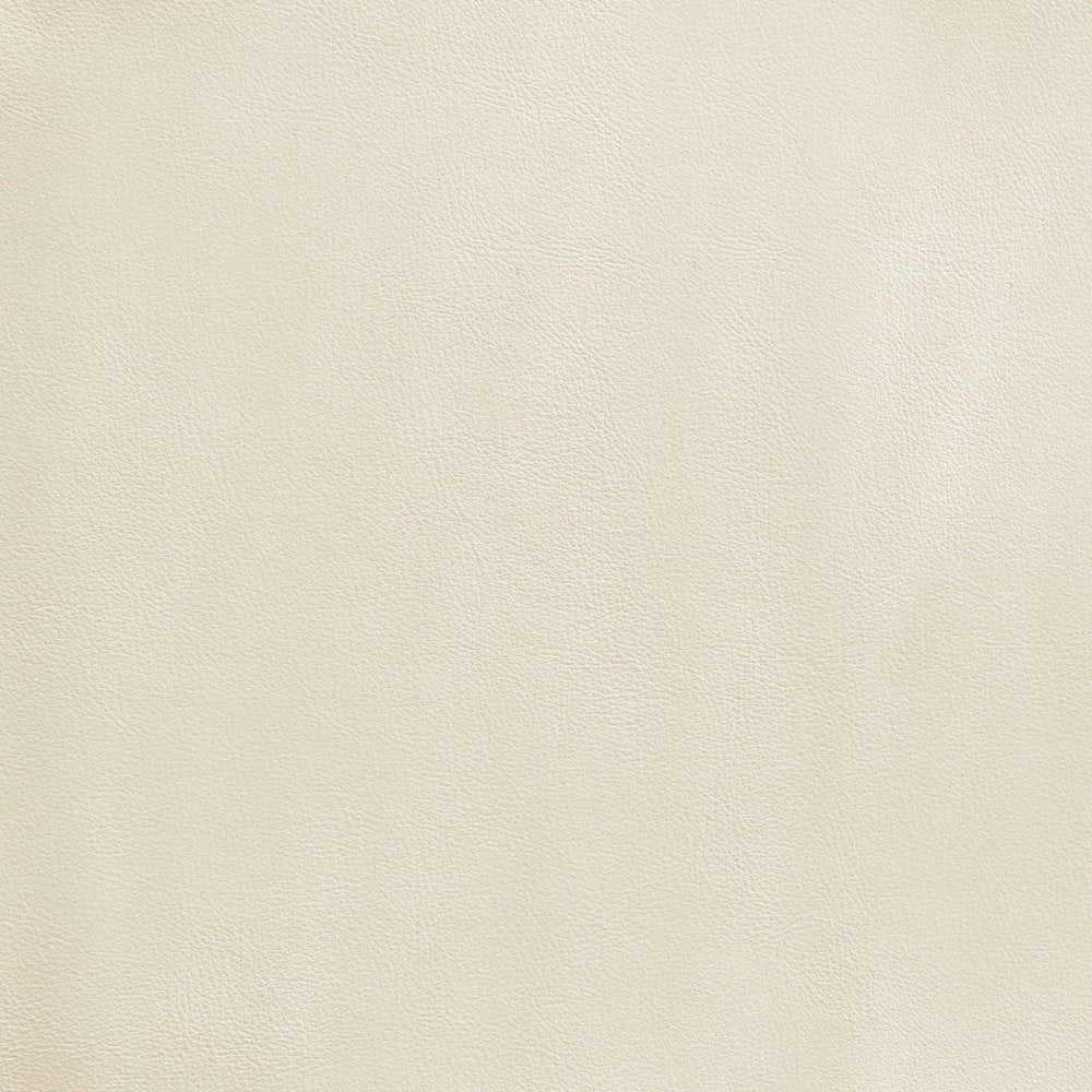 Rawlins Cream Vegan Leather Upholstered Dining Chair, Set of 2