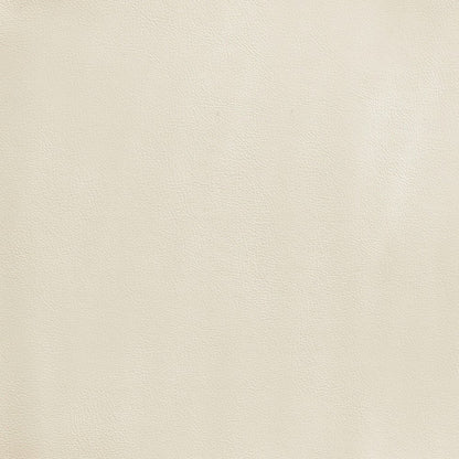 Rawlins Cream Vegan Leather Upholstered Dining Chair, Set of 2