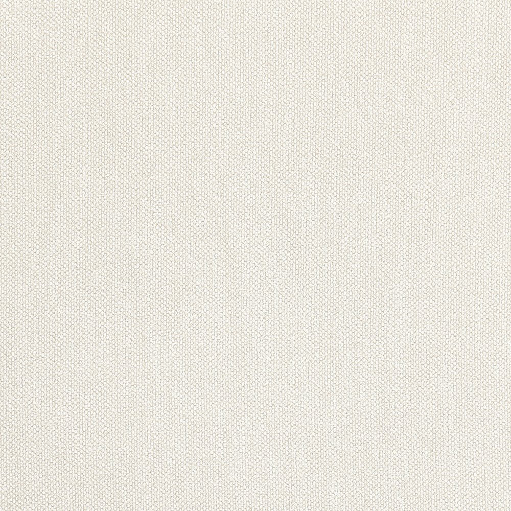 Riccio Cream Performance Fabric Upholstered Dining Arm Chair, Set of 2