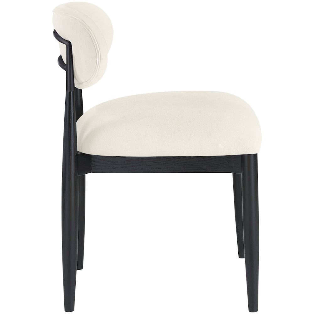 Riccio Beige Performance Fabric Upholstered Dining Side Chair, Set of 2